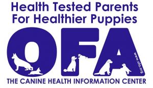 Health tested parents for healthier puppies - Orthopedic Foundation for Animals