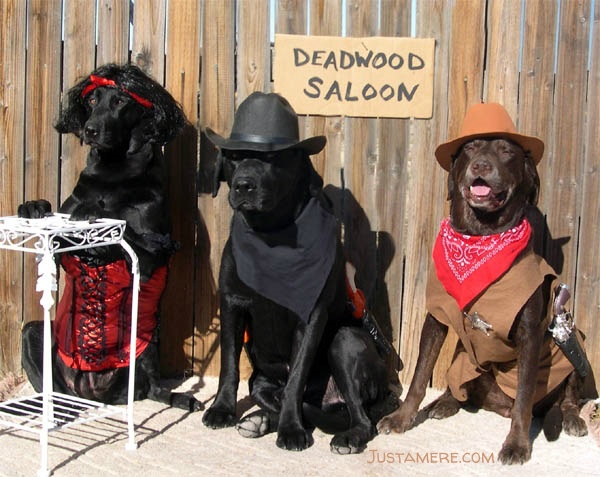 Labs dress up in western costumes - an outlaw, a sheriff and a dance hall gal