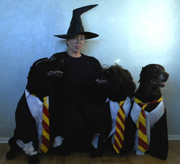 Labs dressed as Harry Potter and friends pose with Professor McGonagall