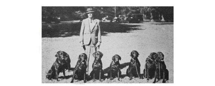 Jay Carlisle with his Wingan Labradors
