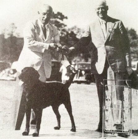 Sheds father, Raffles, winning in the show ring