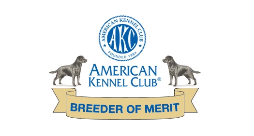 American Kennel Club Breeder of Merit award