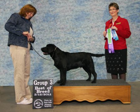 First big win - Best of Breed and Group 3