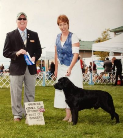 Back-to-back Best of Winners at the Arapahoe Kennel Club dog show