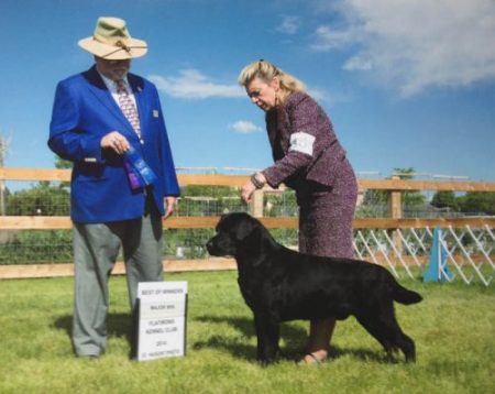 Best of Winners for a 4-point major under Dr Clyde Shaw