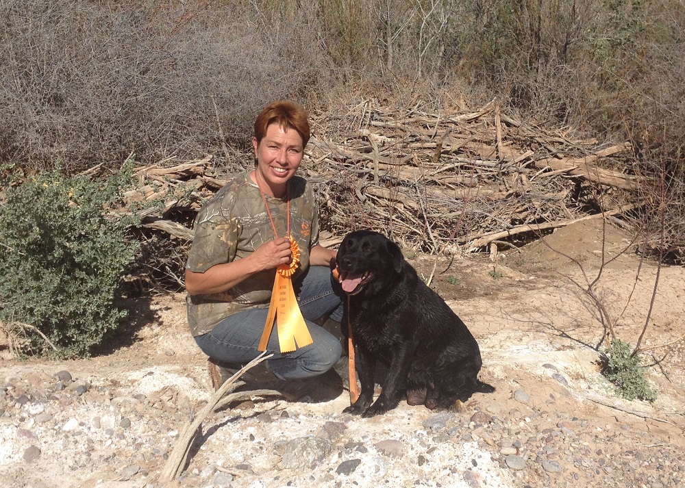 Black Lab, Jazzy, finishing her Junior Hunter title with back-to-back passes