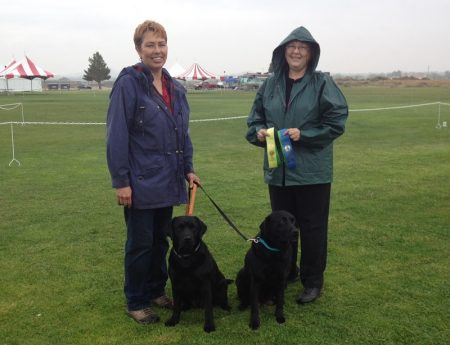 Two black Labs earning Rally obedience titles