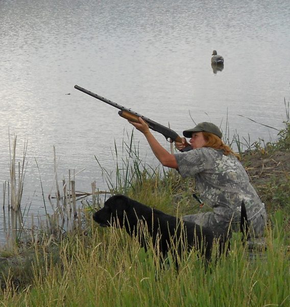 Tory watching the birds go down during a duck hunt