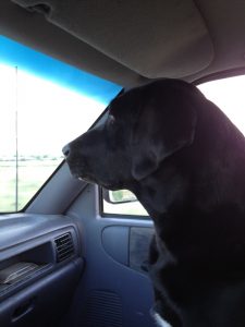 Tory was a great co-pilot