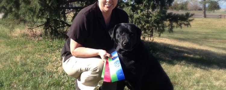 Labrador earns obedience title