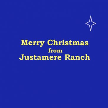 Merry Christmas from Justamere Ranch