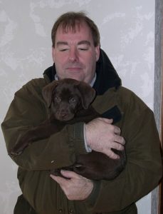 Chocolate Labrador puppy