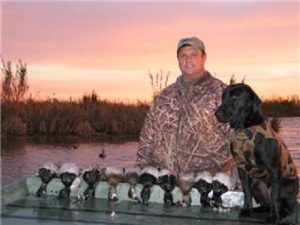 A black Lab, happy hunter and lots of ducks