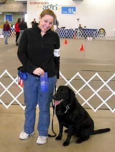 Black Labrador Retriever wins 2 blue ribbons in Rally competition