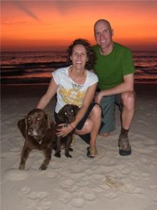 Chocolate Labrador puppy on the beach