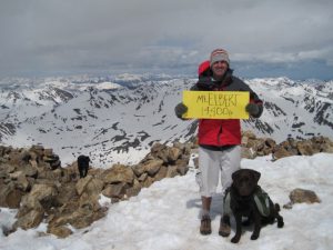 Chocolate Labrador Retriever summits on a 14er in Colorado