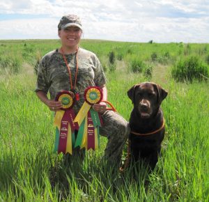 Chocolate Lab finishes his Started Hunter title