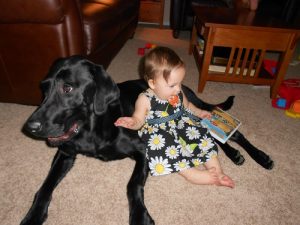 A black Lab and his favorite little girl
