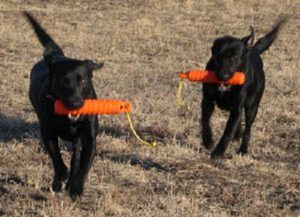 Although they work well together, this is not what a double retrieve means.