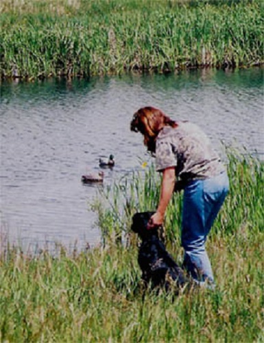 Black Lab, Raven, earning her first JH pass