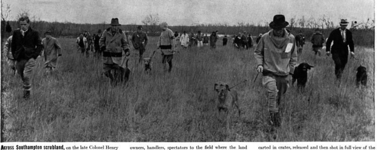 Judges, owners, handlers, spectators and dogs trudging across the field trial grounds