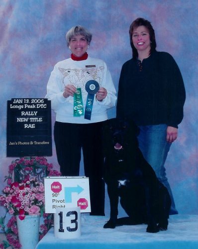 Black Labrador Retriever earning a Rally Advanced Excellent (RAE) title