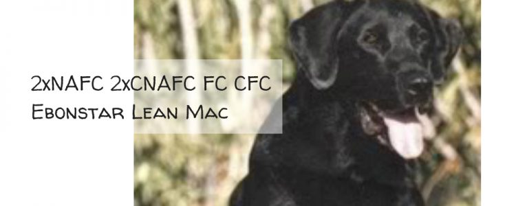 2xNAFC 2xCNAFC FC CFC Ebonstar Lean Mac