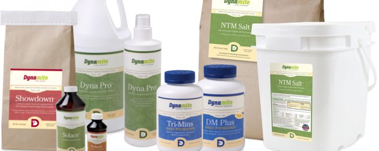 Dynamite products in various packaging