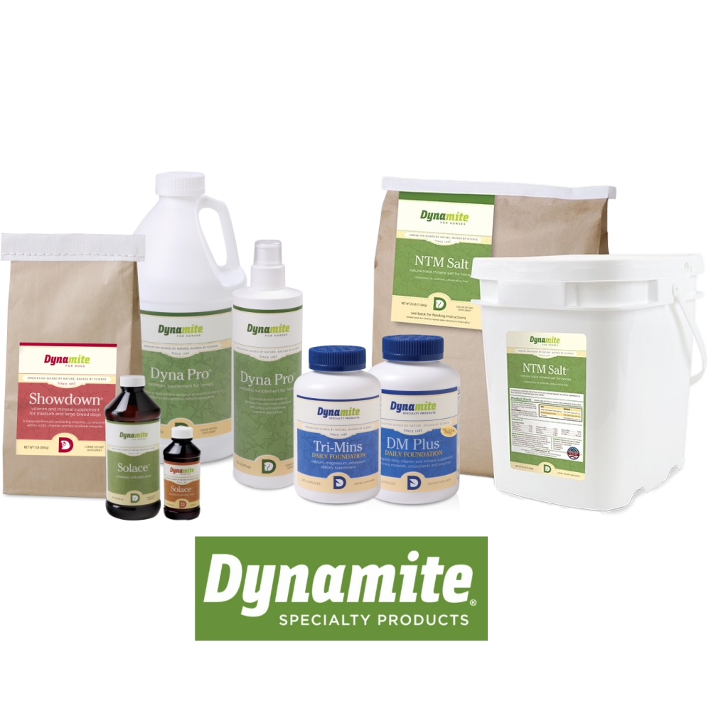 Dynamite dog food outlet website