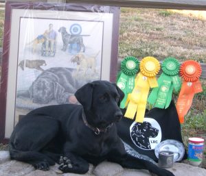 Lab poses with her awards from the National Specialty