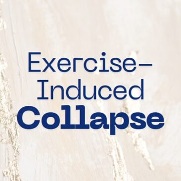 Information about Exercise-Induced Collapse (EIC)