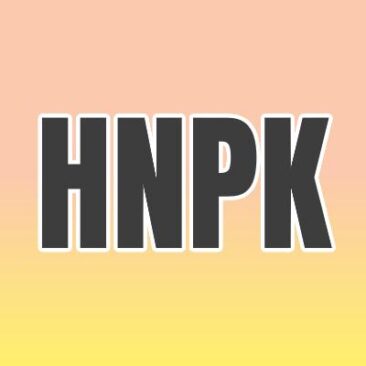 Hereditary nasal parakeratosis - HNPK in Labrador Retrievers