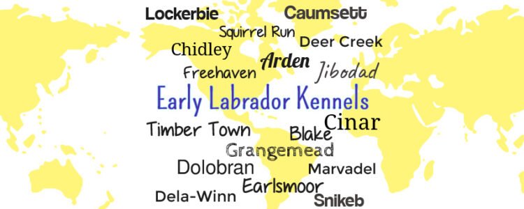 Names of early Labrador Kennels in America