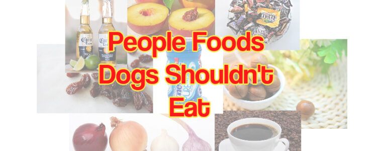 People foods dogs shouldn't eat