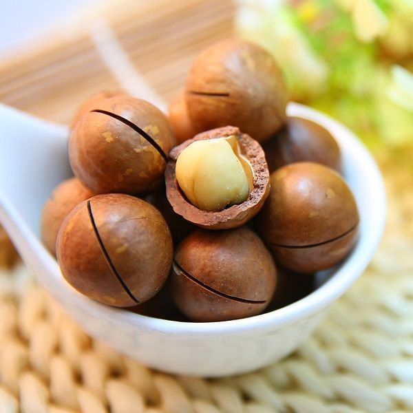 Macadamia nuts can be harmful if eaten by a dog