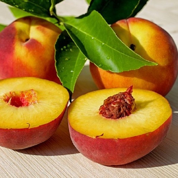 Peach pits can be harmful if eaten by a dog