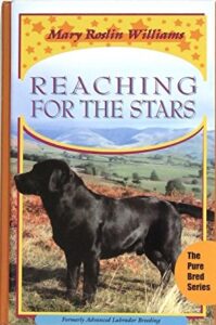 Book "Reaching for the Stars"