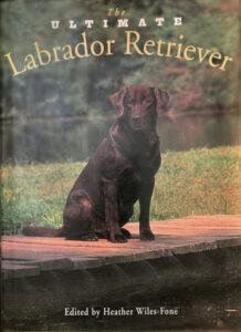 Book "The Ultimate Labrador Retriever"