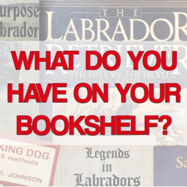 A variety of books about Labrador Retrievers