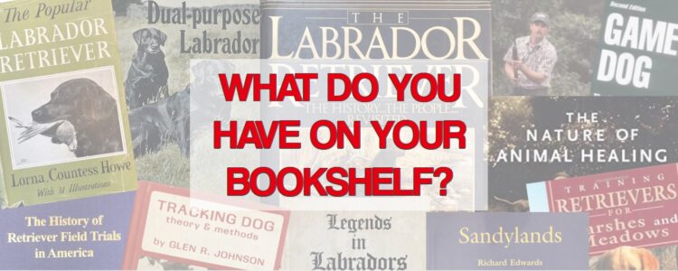 A variety of books about Labrador Retrievers