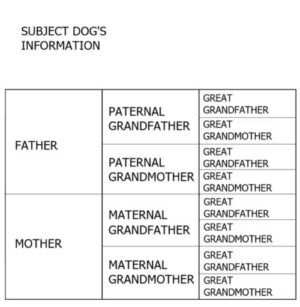 Sample 3-generation pedigree chart