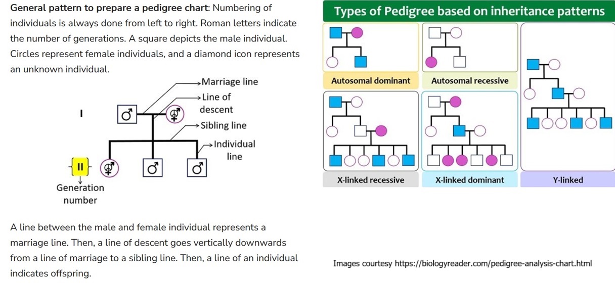 Types of pedigrees based on inheritance patterns