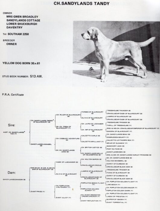 Sample pedigree with the dogs photo